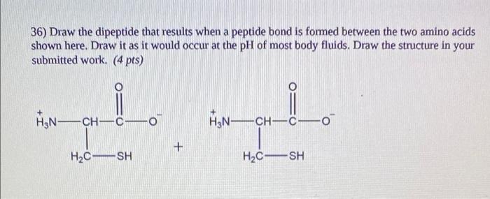 36 Draw The Dipeptide That Results When A Peptide Bond Is Formed Between The Two Amino Acids Shown Here Draw It As It 1