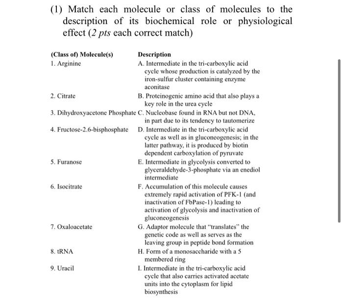 1 Match Each Molecule Or Class Of Molecules To The Description Of Its Biochemical Role Or Physiological Effect 2 Pts 1