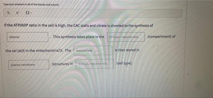 Type Your Answers In All Of The Blanks And Submit X X 12 If The Atp Adp Ratio In The Cell Is High The Cac Stalls And C 1