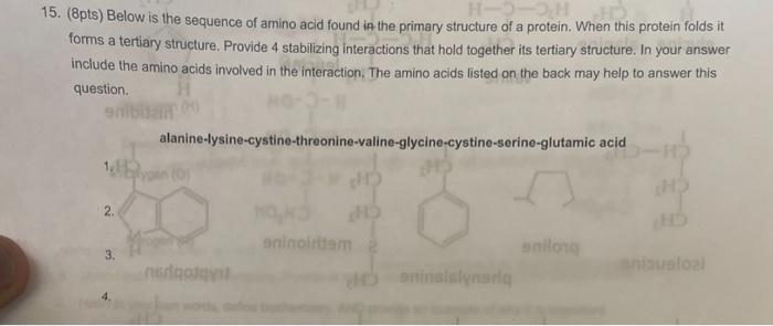 15 8pts Below Is The Sequence Of Amino Acid Found In The Primary Structure Of A Protein When This Protein Folds It F 1