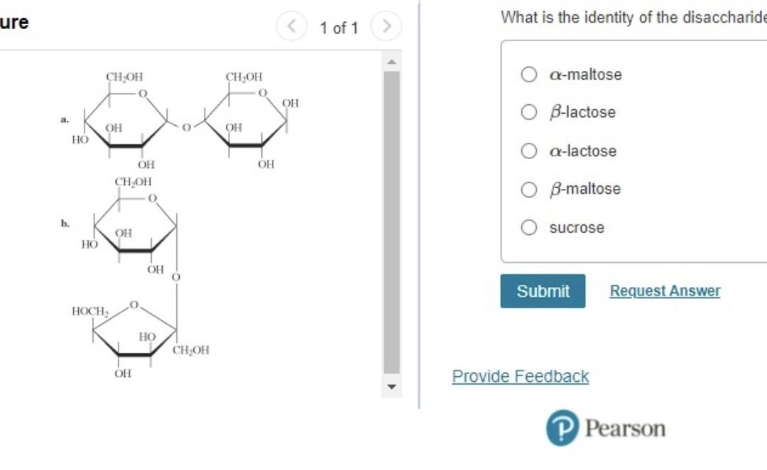 Ure What Is The Identity Of The Disaccharide 1 Of 1 Ch Oh Ch Oh A Maltose 0 Oh O B Lactose A Oh 0 Oh Ho O A Lactose Oh 1