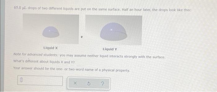 65 0 Pul Drops Of Two Different Liquids Are Put On The Same Surface Half An Hour Later The Drops Look Like This Liqui 1
