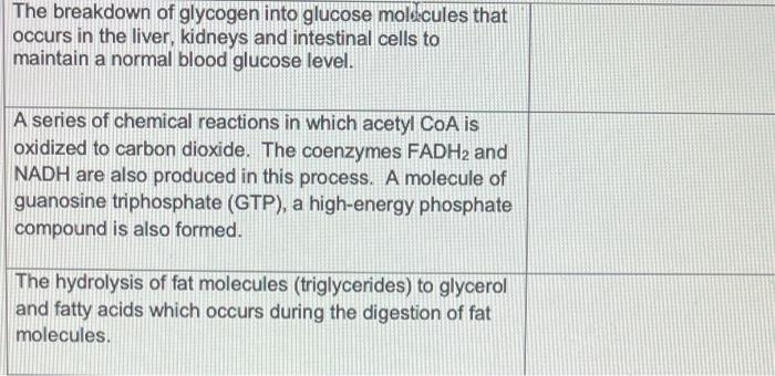 The Breakdown Of Glycogen Into Glucose Molecules That Occurs In The Liver Kidneys And Intestinal Cells To Maintain A No 1