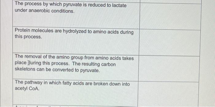 The Process By Which Pyruvate Is Reduced To Lactate Under Anaerobic Conditions Protein Molecules Are Hydrolyzed To Amin 1