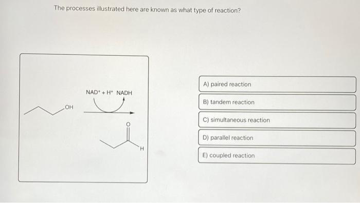 The Processes Illustrated Here Are Known As What Type Of Reaction A Paired Reaction Nad H Nadh B Tandem Reaction O 1