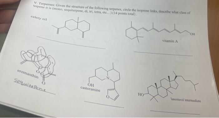 Terpemes Given The Structure Of The Following Terpenes Circle The Isoprene Links Describe What Class Of Terpene It Is 1