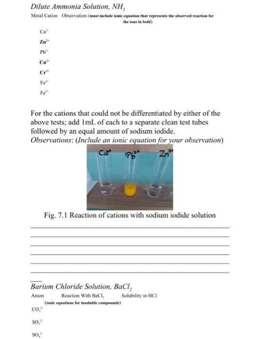Dilute Ammonia Solution Nh Metal Cation Observation Must Include Bonic Equation That Represents The Observed Reaction 1