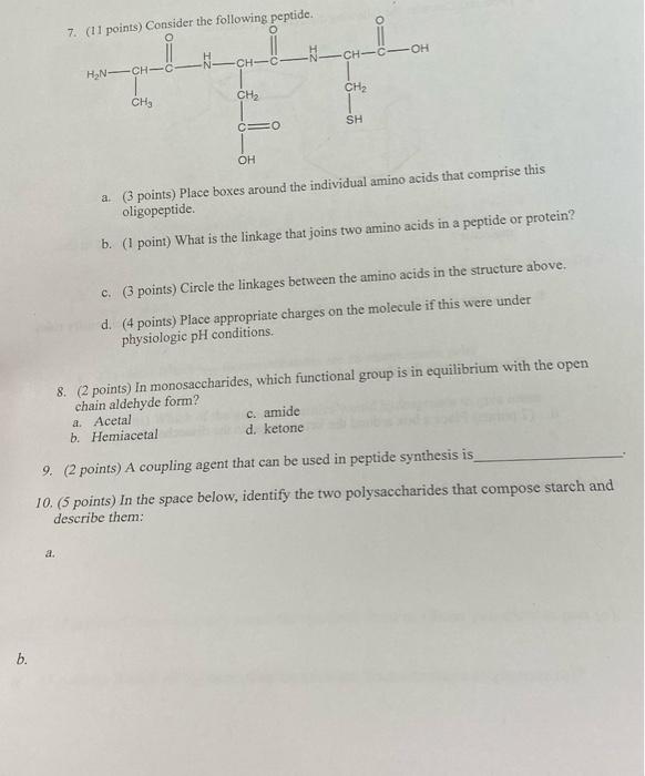 7 11 Points Consider The Following Peptide Lk Ch C Ne Ch Ch Ch Hn Ch C Ch2 Ch2 Ch Sh Co Oh A 3 Points Place Bo 1