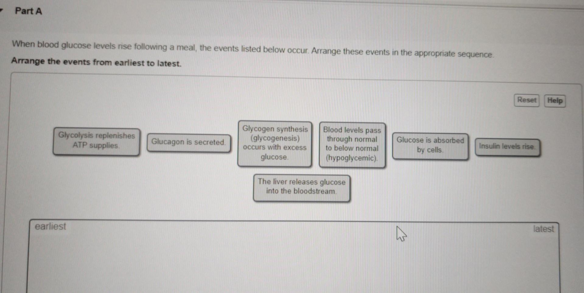 When Blood Glucose Levels Rise Following A Meal The Events Listed Below Occur Arrange These Events In The Appropriate 1
