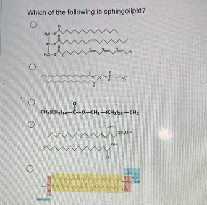 Which Of The Following Is Sphingolipid Hc 0 N W Wavavavo Hc 0 Hc 0 Rotax Loch Ch3 Ch2h4 4 0 Ch2 Ch2 28 Ch3 Oh Cho R 1