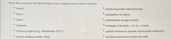 Which Of The Following Is Sphingolipid Hc 0 N W Wavavavo Hc 0 Hc 0 Rotax Loch Ch3 Ch2h4 4 0 Ch2 Ch2 28 Ch3 Oh Cho R 2