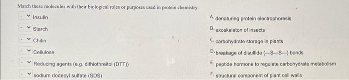 Match These Molecules With Their Biological Roles Or Purposes Used In Protein Chemistry Insulin Starch Chitin A Denatur 1