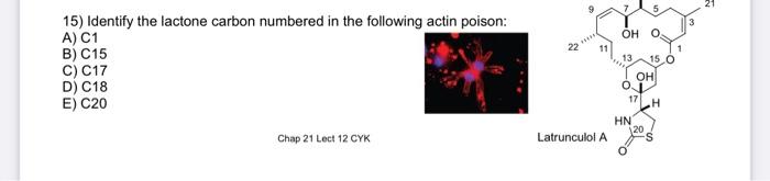 Oh 0 15 Identify The Lactone Carbon Numbered In The Following Actin Poison A C1 B C15 C C17 D C18 E C20 13 Oh 01 1