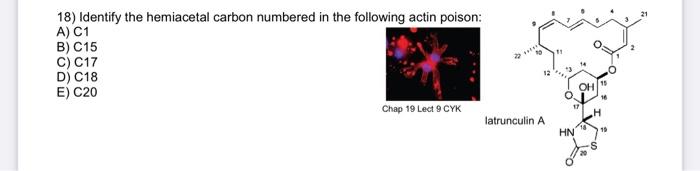 21 18 Identify The Hemiacetal Carbon Numbered In The Following Actin Poison A C1 B C15 C C17 D C18 E C20 Chap 19 1