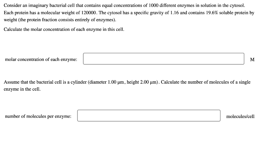 Consider An Imaginary Bacterial Cell That Contains Equal Concentrations Of 1000 Different Enzymes In Solution In The Cyt 1