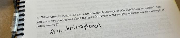 4 What Type Of Structure Do The Acceptor Molecules Except For Chlorophylly Have In Common Can You Draw Any Conclusion 1