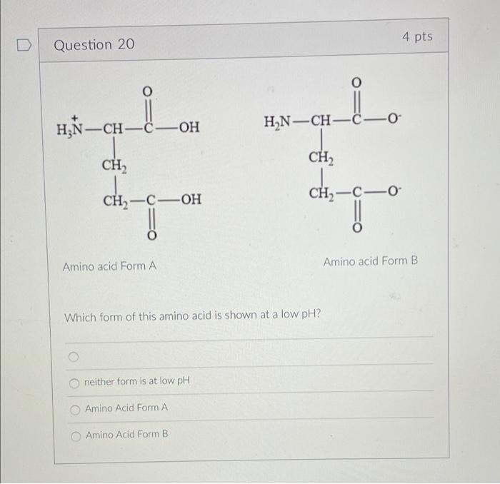 4 Pts Question 20 O 0 Hn Ch C Oh Hn Ch 0 0 Ch2 Ch2 Ch2 C Oh Ch2 C 0 Amino Acid Form A Amino Acid Form B Which Form 1
