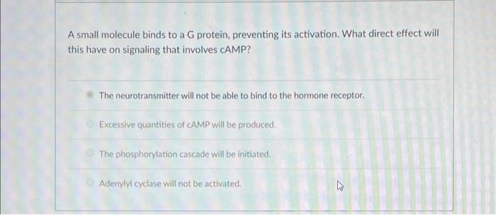 A Small Molecule Binds To A G Protein Preventing Its Activation What Direct Effect Will This Have On Signaling That In 1
