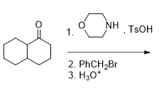 What Would The Major Product Of Each Synthesis Be A B 1