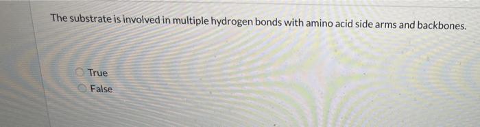 The Substrate Is Involved In Multiple Hydrogen Bonds With Amino Acid Side Arms And Backbones True False 1