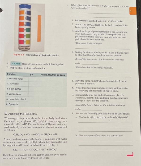 What Effect Does An Increase In Jydrogen Ion Concentration Have On Blood Ph 3 70 9 0 90 100 110 120 1 Put 100 Ml Of Di 1