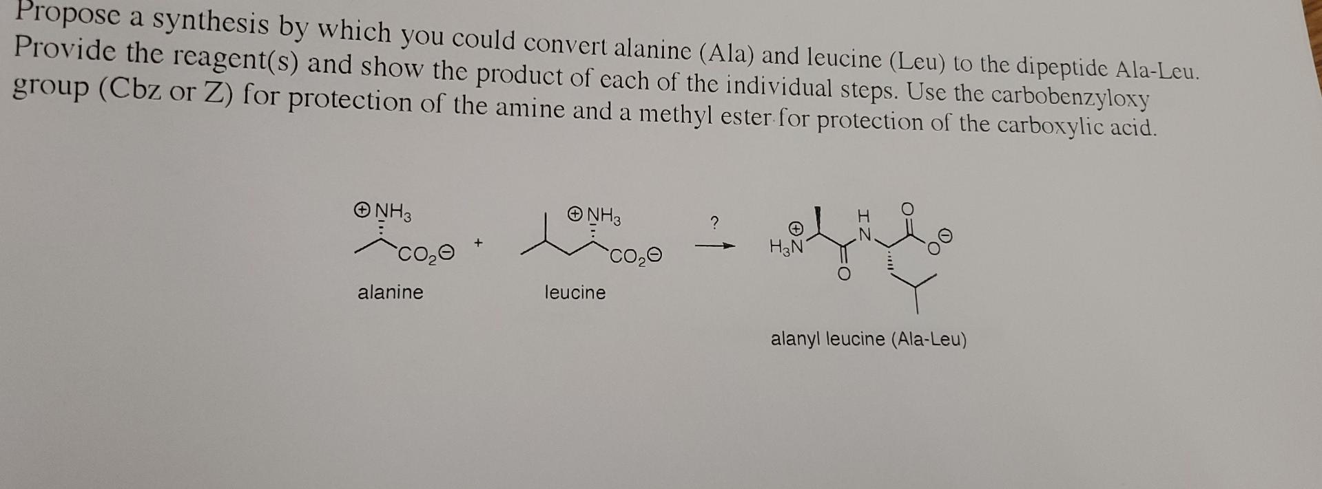 Propose A Synthesis By Which You Could Convert Alanine Ala And Leucine Leu To The Dipeptide Ala Leu Provide The Rea 1