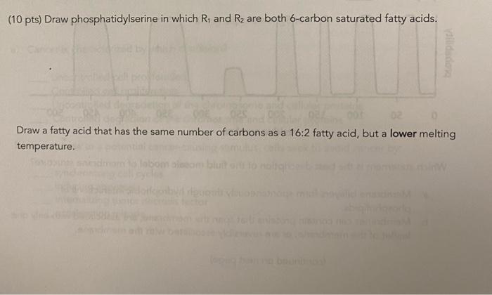10 Pts Draw Phosphatidylserine In Which R And R Are Both 6 Carbon Saturated Fatty Acids Dildo Draw A Fatty Acid Tha 1