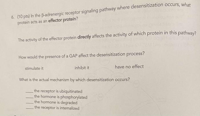 6 10 Pes In The Bradrenergic Receptor Signaling Pathway Where Desensitization Occurs What Protein Acts As An Effector 1