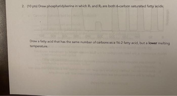 2 10 Pts Draw Phosphatidylserine In Which R And R Are Both 6 Carbon Saturated Fatty Acids Draw A Fatty Acid That H 1