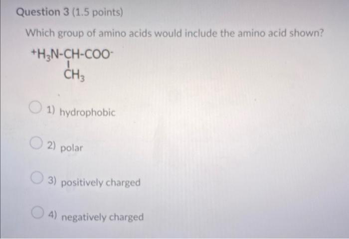Question 3 1 5 Points Which Group Of Amino Acids Would Include The Amino Acid Shown H3n Ch Coo Ch3 1 Hydrophobic 2 1