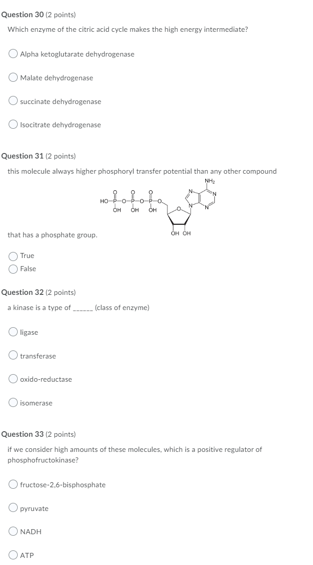 Question 30 2 Points Which Enzyme Of The Citric Acid Cycle Makes The High Energy Intermediate Alpha Ketoglutarate Deh 1