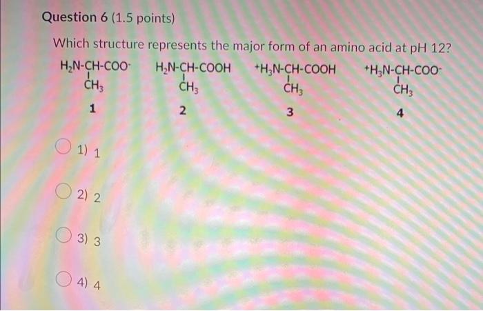 Question 6 1 5 Points Which Structure Represents The Major Form Of An Amino Acid At Ph 12 H2n Ch Coo Hn Ch Cooh H3n 1