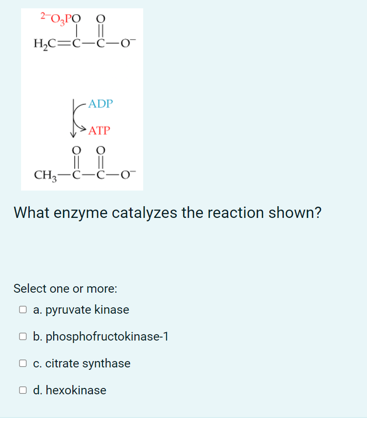 2 03p9 0 11 H2c C 0 0 Adp Atp 0 Ii Ch3 C O 0 What Enzyme Catalyzes The Reaction Shown Select One Or More O A Pyru 1