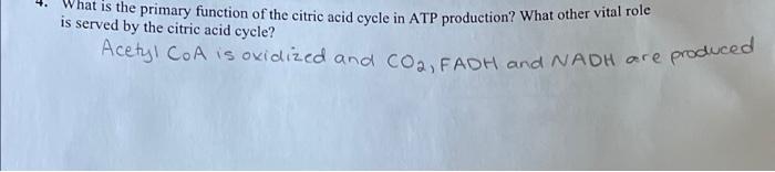 What Is The Primary Function Of The Citric Acid Cycle In Atp Production What Other Vital Role Is Served By The Citric A 1
