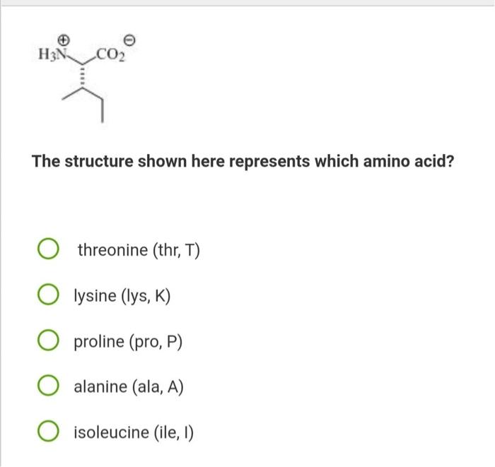 H3n Co2 The Structure Shown Here Represents Which Amino Acid O Threonine Thr T O K Lysine Lys K O Proline Pro 2