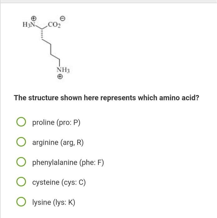 H3n Co Nh3 The Structure Shown Here Represents Which Amino Acid Proline Pro P Arginine Arg R Phenylalanine Phe 1