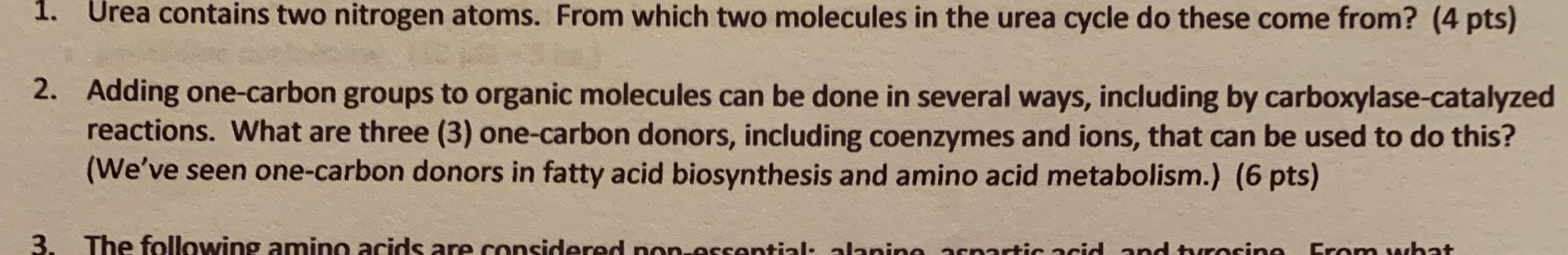 1 Urea Contains Two Nitrogen Atoms From Which Two Molecules In The Urea Cycle Do These Come From 4 Pts 2 Adding On 1