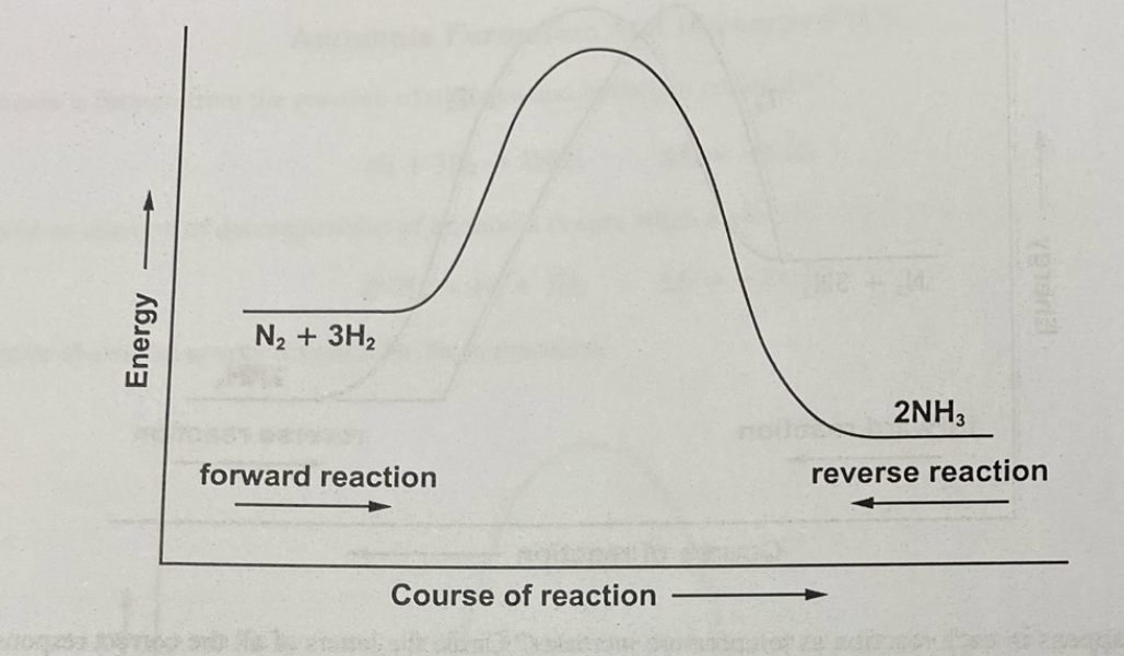 Determine Activation Energy Of Reverse Reaction 1