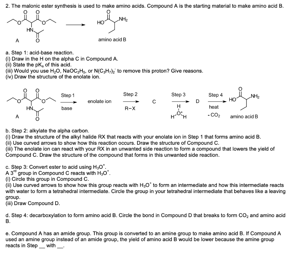 2 The Malonic Ester Synthesis Is Used To Make Amino Acids Compound A Is The Starting Material To Make Amino Acid B Nh 1