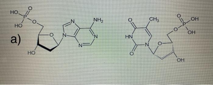 Vi Solve The Following Situation Identify The Nucleotides In The Illustration Below And Draw On It The H Bridges That H 2
