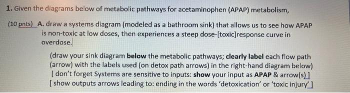 1 Given The Diagrams Below Of Metabolic Pathways For Acetaminophen Apap Metabolism 10 Pnts A Draw A Systems Diagr 1