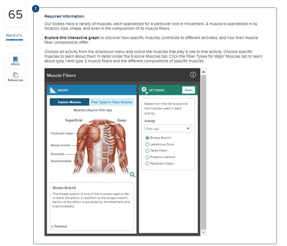 Required Information Our Bodies Have A Variety Of Muscles Each Specialized For A Particular Role In Movement A Muscle 1