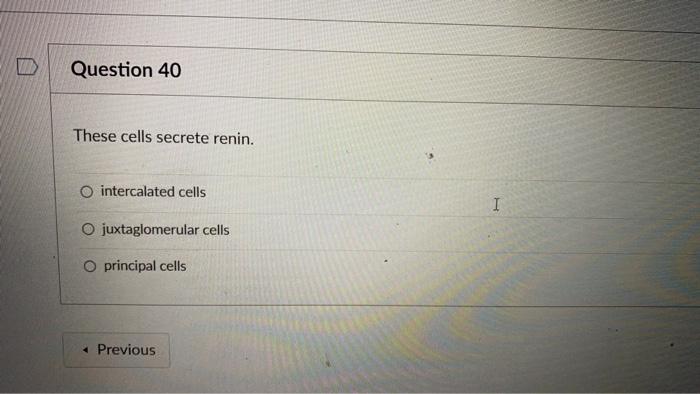 Question 40 These Cells Secrete Renin O Intercalated Cells I O Juxtaglomerular Cells O Principal Cells Previous 1