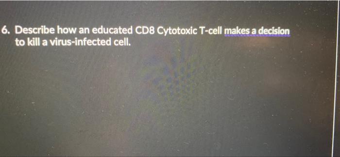 6 Describe How An Educated Cd8 Cytotoxic T Cell Makes A Decision To Kill A Virus Infected Cell 1