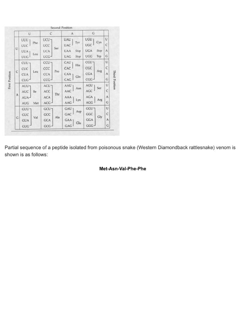 Write A Sequence Of An Mrna Corresponding To The Peptide Using The Codon Table 1
