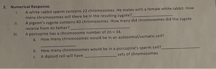 5 Numerical Response 1 A White Rabbit Sperm Contains 22 Chromosomes He Mates With A Female White Rabbit How Many Ch 1