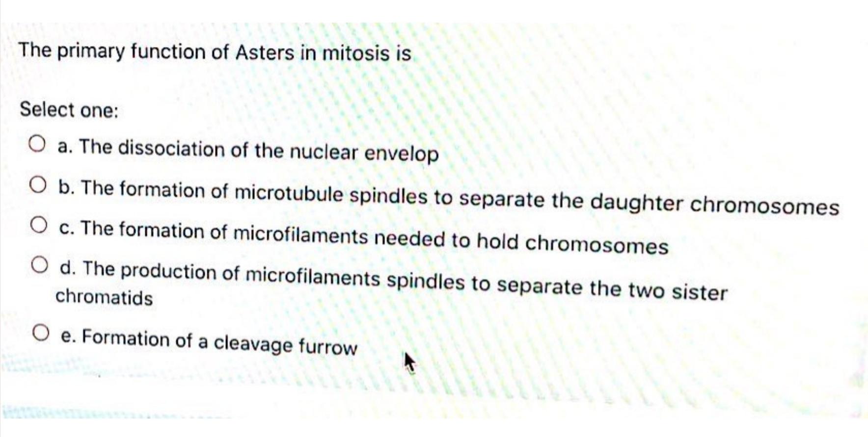 The Primary Function Of Asters In Mitosis Is Select One O A The Dissociation Of The Nuclear Envelop O B The Formation 1