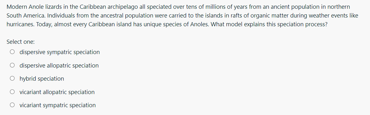 23 Choose The Correct Answer About Modern Anole Lizards 1