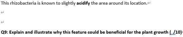 This Rhizobacteria Is Known To Slightly Acidify The Area Around Its Location 4 Q9 Explain And Illustrate Why This Feat 1
