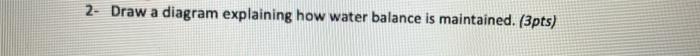 2 Draw A Diagram Explaining How Water Balance Is Maintained 3pts 1